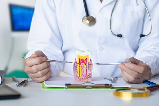 Best Emergency Dentist for Lost Fillings or Crowns in Stuttgt, AR